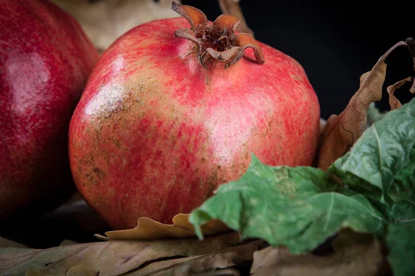 Granatäpplen Och Hösten Färgade Blad — Stockfoto