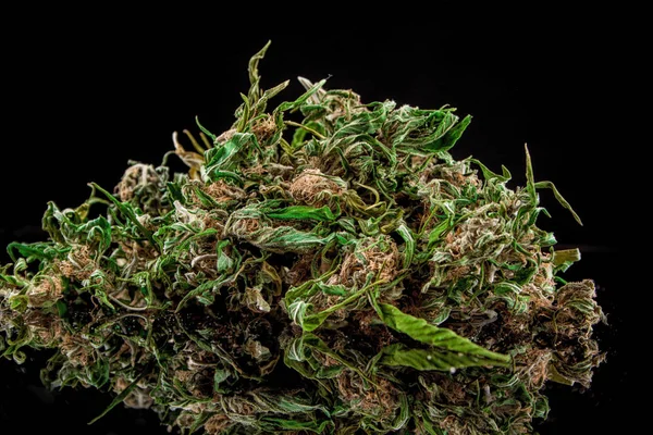 Cannabis Sfondo Nero — Foto Stock