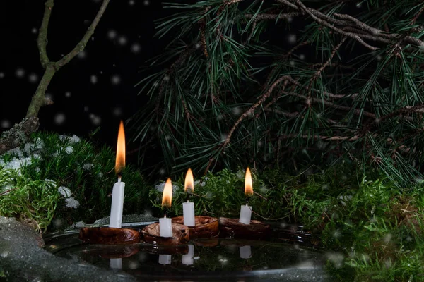 Kerst Kaarsen Walnoot Shell Het Wateroppervlak — Stockfoto