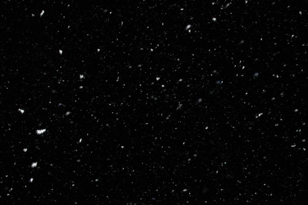 Copo Nieve Cayendo Noche Navidad Imagen de stock