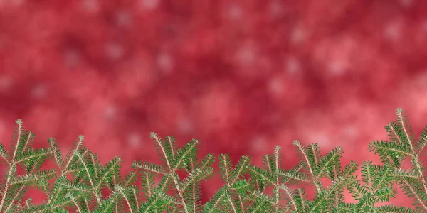 Renkli Noel Işıkları Noel Arka Plan — Stok fotoğraf