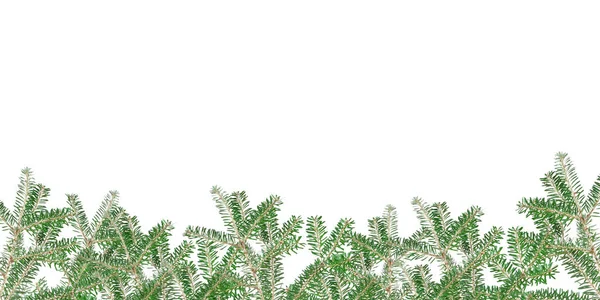 Kerstmis Achtergrond Naaldboom Een Witte Pagina — Stockfoto