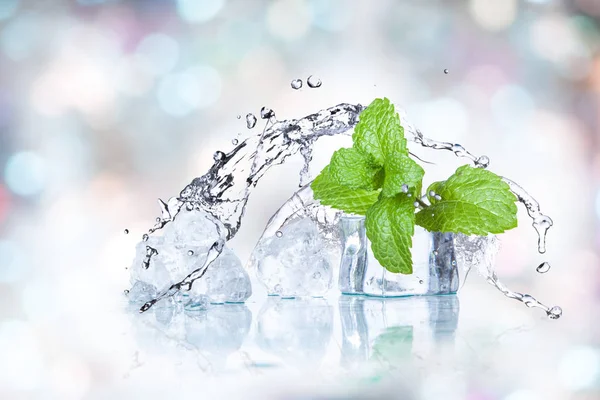 Ijsblokjes Opspattend Water Met Mint Een Gekleurde Achtergrond — Stockfoto