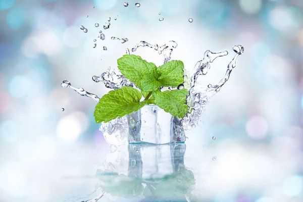 Ijsblokjes Opspattend Water Met Mint Een Gekleurde Achtergrond — Stockfoto