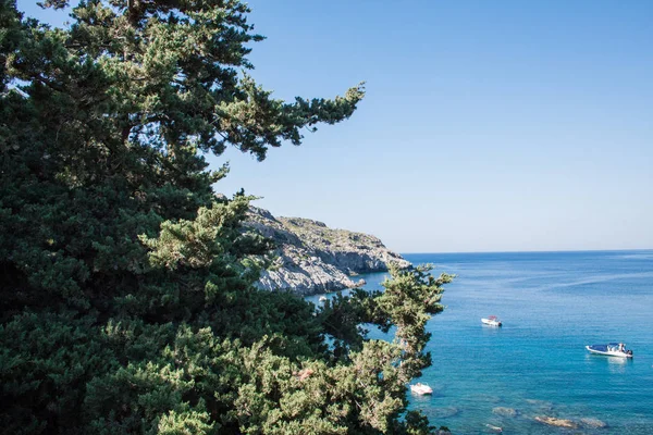 Cypress Aan Middellandse Zee Vie — Stockfoto