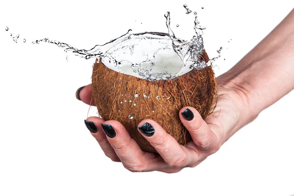 Coco Tropical Com Gelo Água Salpicada Sobre Fundo Branco — Fotografia de Stock