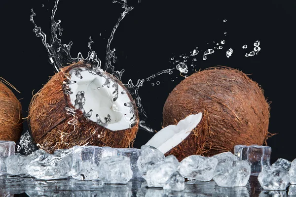 Coco Tropical Con Hielo Agua Salpicada Sobre Fondo Negro — Foto de Stock