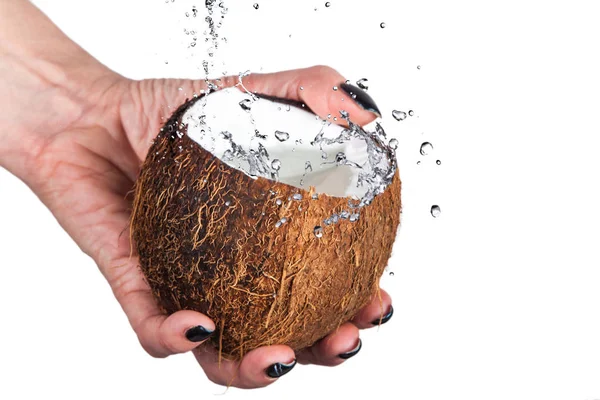 Tropical Coconut Ice Splashing Water White Background — Stock Photo, Image