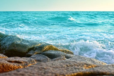 Dalgaların, rüzgarın ve güzel denizin sesi Doğaile dinlendirici bir günde