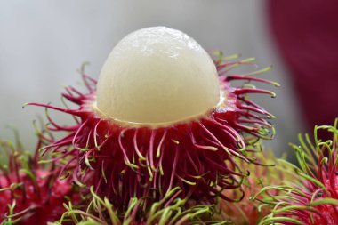 Rambutan, bahçeden taze kırmızı meyve kabuğu, tatlı, lezzetli, lezzetli