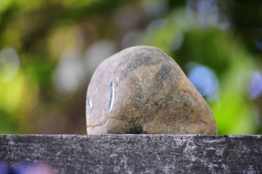 Hakiki yeşim doğal bir yumrudur. Bu henüz koyu yeşil, nadir ve kesilmiş değil 