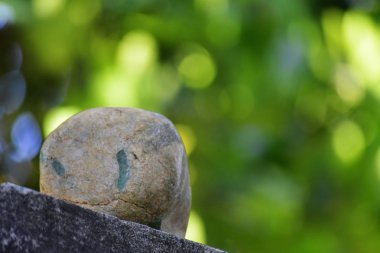 Hakiki yeşim doğal bir yumrudur. Bu henüz koyu yeşil, nadir ve kesilmiş değil 