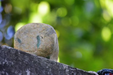 Hakiki yeşim doğal bir yumrudur. Bu henüz koyu yeşil, nadir ve kesilmiş değil 