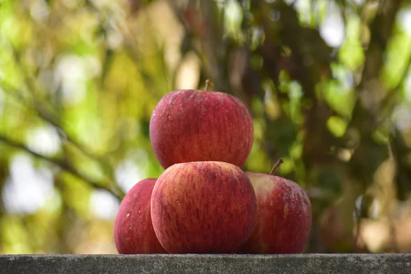 Fresca Hermosa Deliciosa Manzana Crujiente Que Gente Gusta Comer — Foto de Stock