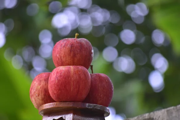 Свежие Красивые Вкусные Яблоки Хрустящие Люди Любят — стоковое фото