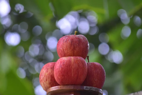 Свежие Красивые Вкусные Яблоки Хрустящие Люди Любят — стоковое фото