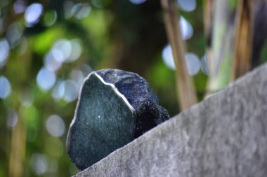 Hakiki yeşim doğal bir yumrudur. Bu henüz koyu yeşil, nadir ve kesilmiş değil 