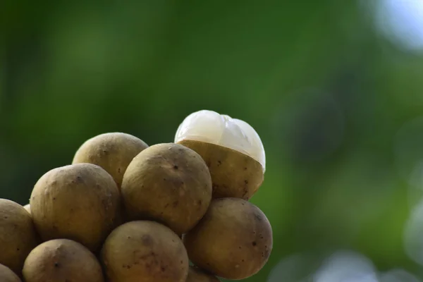 龙贡水果是一种季节性水果很受欢迎 因为甜 — 图库照片