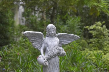  bahçede çiçekler çiçek başlar ve doğal olarak güzel ve ferahlatıcı.