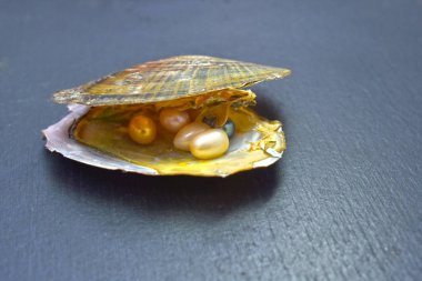 İnci Bu halk takı yapmak için kullanılan doğal kabukları doğal bir inci.