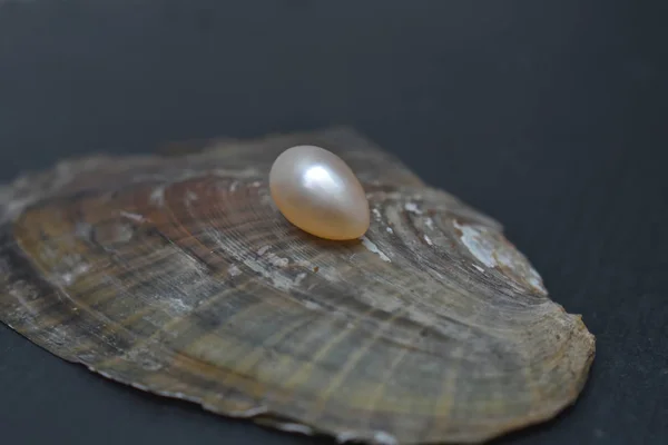 Pearl It is a natural pearl from natural shells that are popularly used to make jewelry.