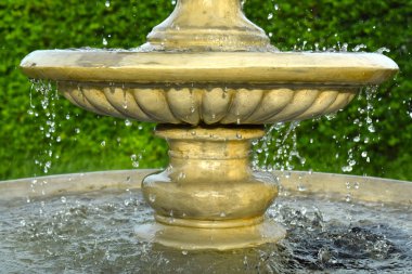 Tamamen doğal bir ormanda hala birçok insan var. Dağlarda yaşamak için evler inşa etmek popüler