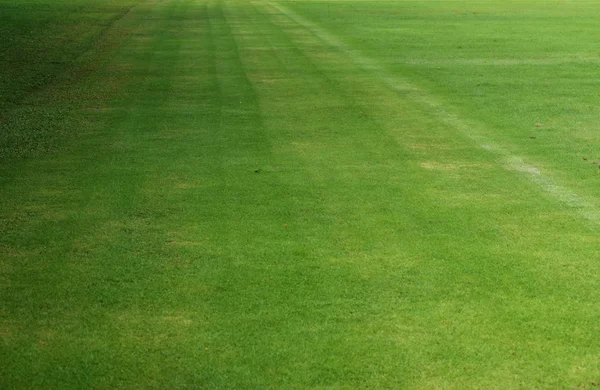Boisko Piłki Nożnej Zielony Trawnik Który Został Pięknie Przycięty — Zdjęcie stockowe