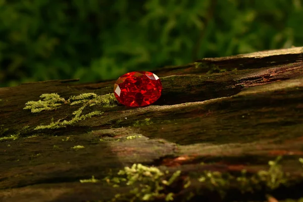 Red Ruby Laying Bark — Stock Photo, Image