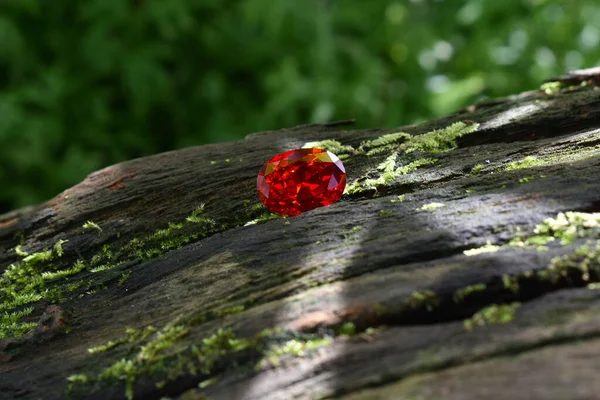 红宝石躺在树皮上 — 图库照片