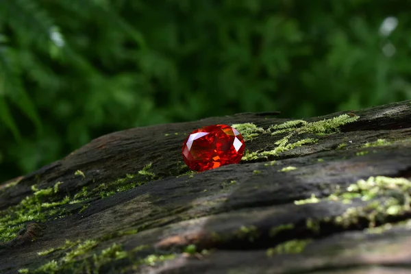 红宝石躺在树皮上 — 图库照片