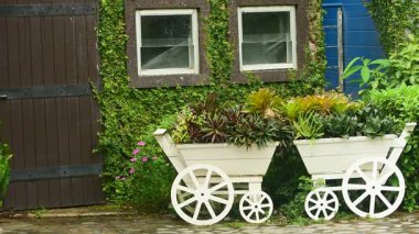  Green nature, leaves, flowing water and wind blowing