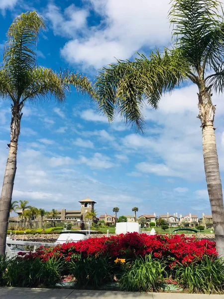 Oxnard, Ca, ABD, Kanal Adaları, Mayıs, 2019. Sinan