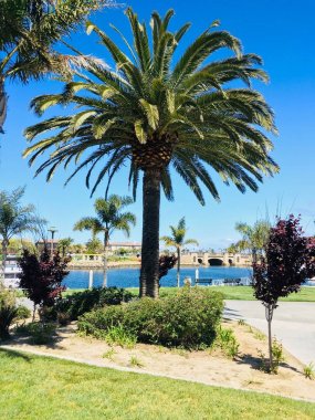 Oxnard Ca, ABD 21 Mayıs 2019. Kanal Adaları