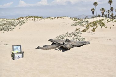 Oxnard, Ca, ABD 25 Mayıs 2019. Hollywood beach & Oxnard plaj parkı