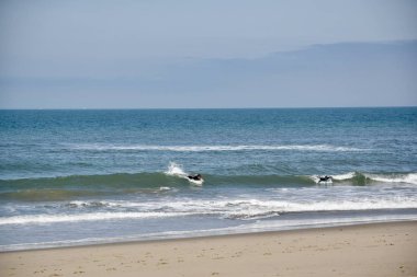  Oxnard, Ca, ABD 25 Mayıs 2019. Hollywood plajı.