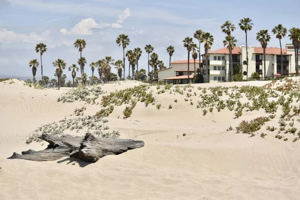 Oxnard Mayo 2019 Hollywood Beach Oxnard Beach Park — Foto de Stock