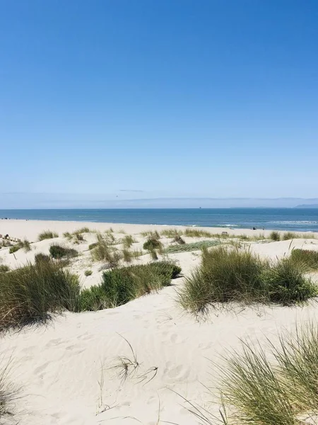 Oxnard Mei 2019 Hollywood Beach — Stockfoto