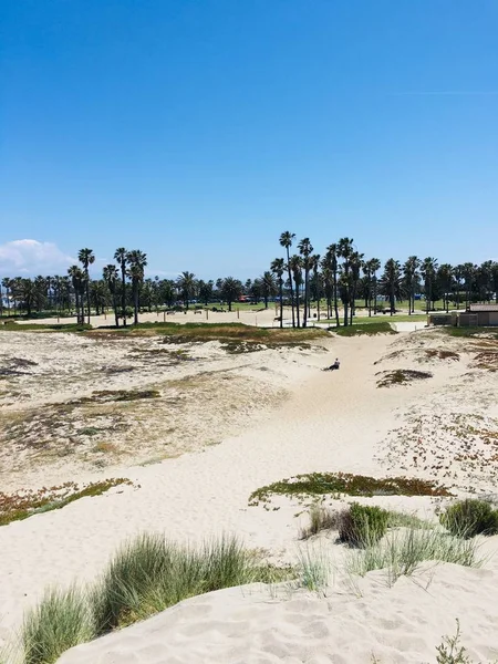 カリフォルニア海岸 ハリウッドビーチ 2019年5月 太平洋 — ストック写真