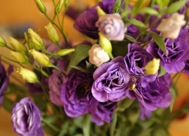 Doğal bir buket, sarı, leylak çiçekleri Rosita lavanta yeşil yaprakları ile turuncu bir arka plan üzerinde. Screensaver yaz çiçekleri bir buket.