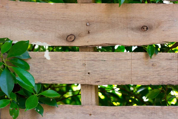 Wood with insert leaf. Nature concept. Natural background.