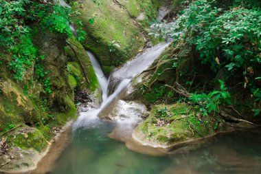Küçük bir şelale ve yosun ve ormanda kayalar üzerinde yaprakları. Doğal