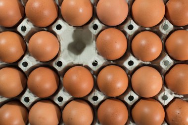 Yumurta, bir yumurta eksik