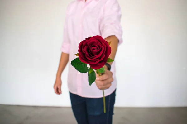 Hombre Usa Camisas Rosas Tenía Una Rosa Roja Mano Concepto —  Fotos de Stock