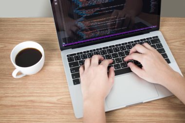 Web geliştirme, yakın çekim görüntüleri, bir kadın bir program yazma