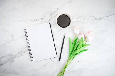 Lale ve boo ile genç iş kadınların Modern moda masaları
