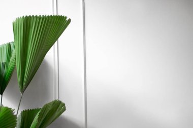 Beyaz modern duvarda yaprakları, kopya spa ile Yaratıcı masa