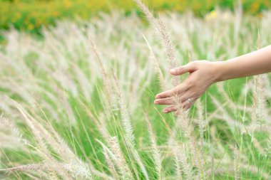 Çayırdaki çimlere dokunan kadının ellerini kapat..