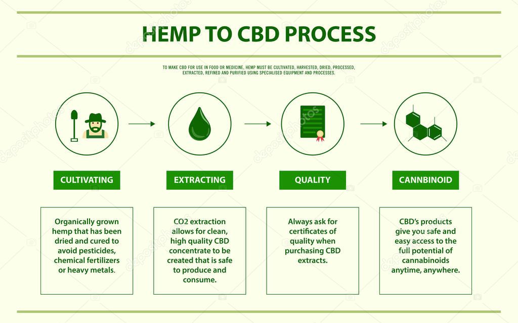 Hemp to CBD Process horizontal infographic