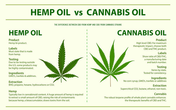 Hemp Oil vs Cannabis Oil horizontal infographic