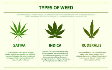 Weed yatay bilgi grafiği türleri